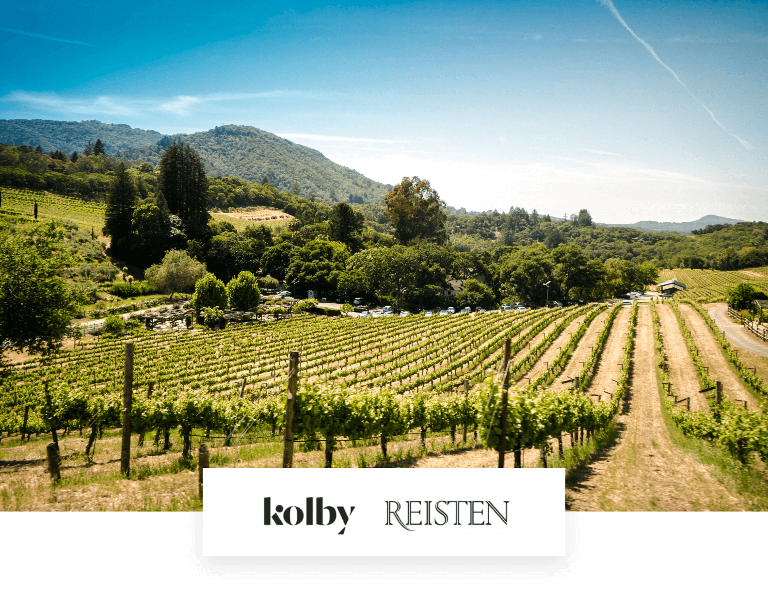 Současná pandemická situace znamenala pro vinařství Kolby a Reisten nutnost posílit tým obchodníků. A ti se neobejdou  bez spolehlivého a kvalitního HW vybavení.
